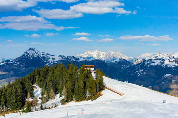 cresta di gallo - hahnenkamm foto e immagini stock