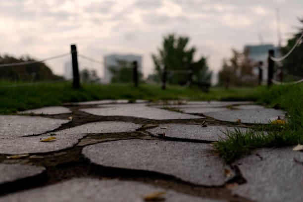 istock Low angle picture in the park 1425430553