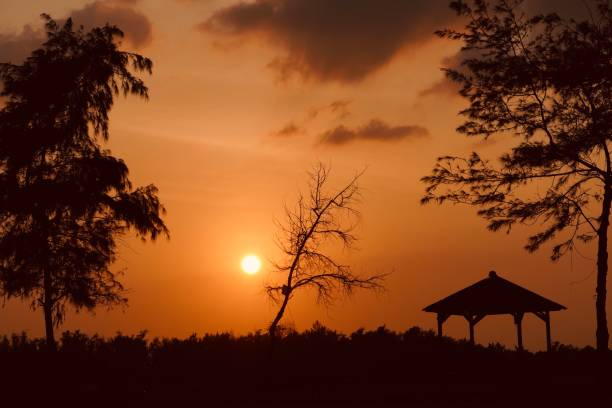 istock Sunset on the beach. Summer holidays background. Dark trees silhouettes with built architecture. 1425431986