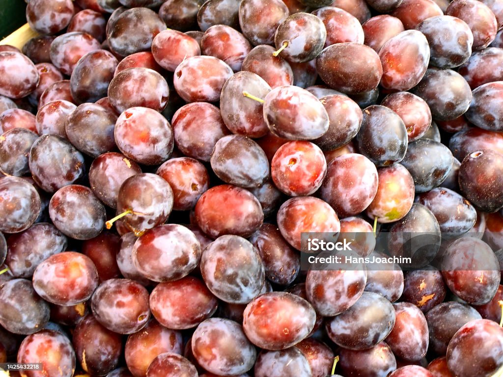 Zwetschgen fresh plums Color Image Stock Photo