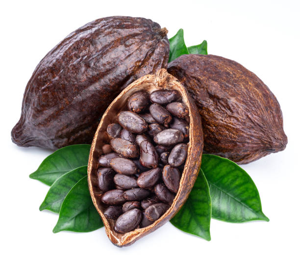 istock Cocoa pods with cocoa leaves isolated on a white background. 1425432280