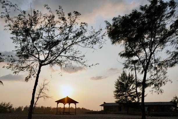 istock Sunset on the beach. Summer holidays background. Dark trees silhouettes with built architecture. 1425434262