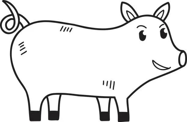 Vector illustration of Hand Drawn cute pig illustration