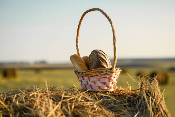 Basket with bread on a haystack against the sky in an open space. Harvest concept