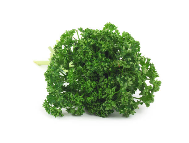 istock Bunch of fresh green parsley 1425451058