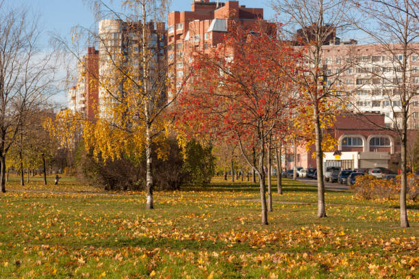 istock autumn city park 1425451902