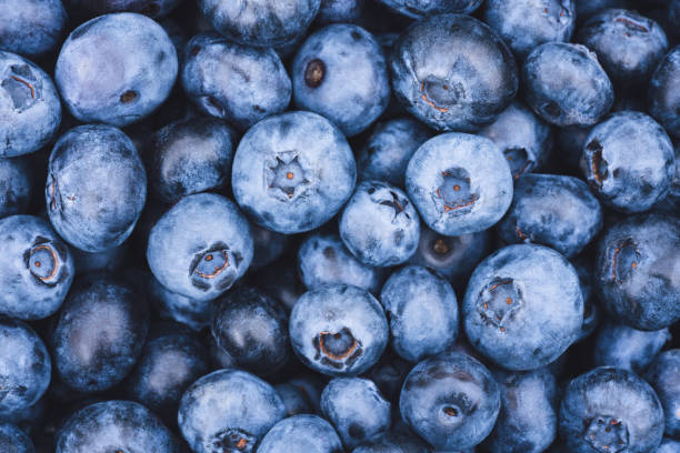 istock Freshly picked blueberry as background with copy space for text. Healthy eating and dieting concept. Organic superfood snack. Summer berries background 1425452788