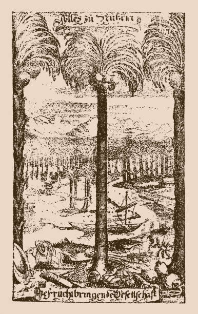 istock The fruitful palm tree, symbol of the fruitful society (After Georg Neumark's newly sprouting palm tree) 1425453886
