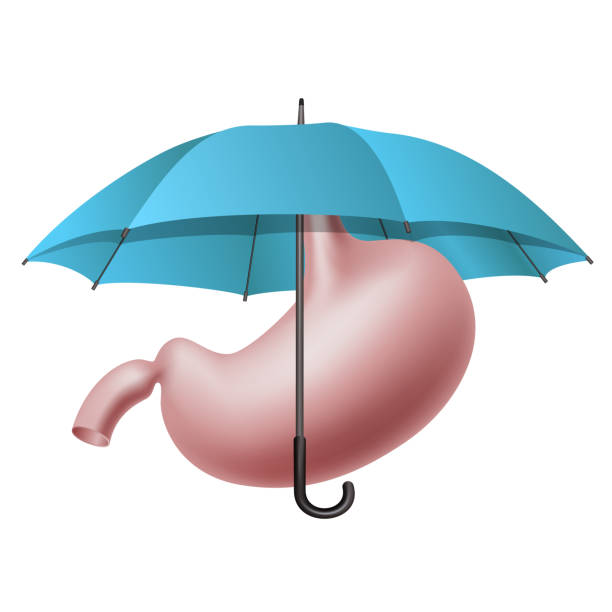 istock Human stomach under umbrella, Healthcare protect concept. 1425457452