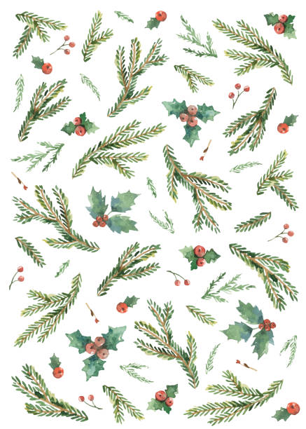 istock Watercolor vector Christmas card with fir branches and holly jolly isolated on white background. Suitable for postcard, cover, flyer, cards design, New year invitations, wedding. Wallpaper or backdrop decor. 1425457930