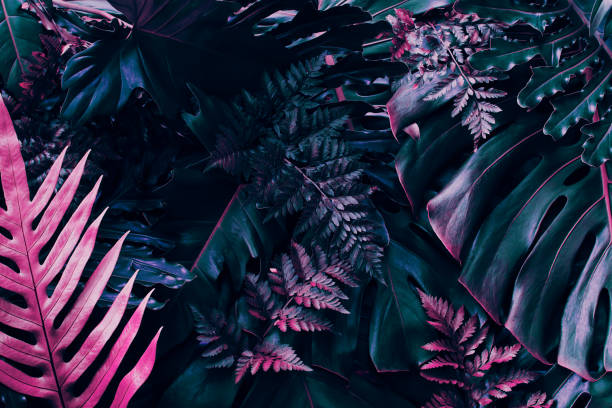 istock Tropical leaves, flat lay jungle design 1425458642