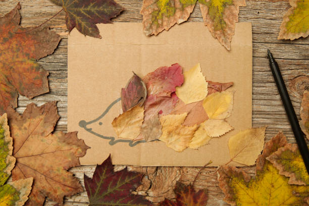 istock Make a hedgehog using leaves. DIY hedgehog fall craft for kids. 1425459988