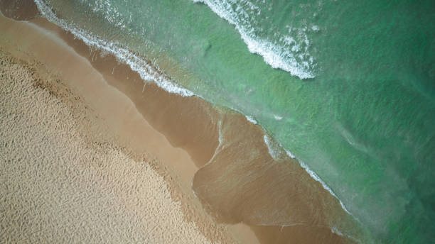 istock Beautiful Tropical Beach From Top View 1425463359