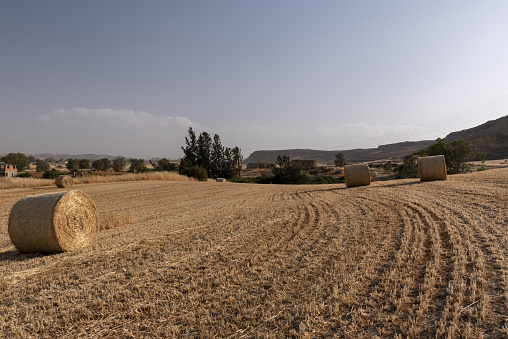 Photo taken near the abandoned village of Agios Sozomenos, near Nicosia, Cyprus. Nikon D750 with Nikon 24-70mm ED VR lens