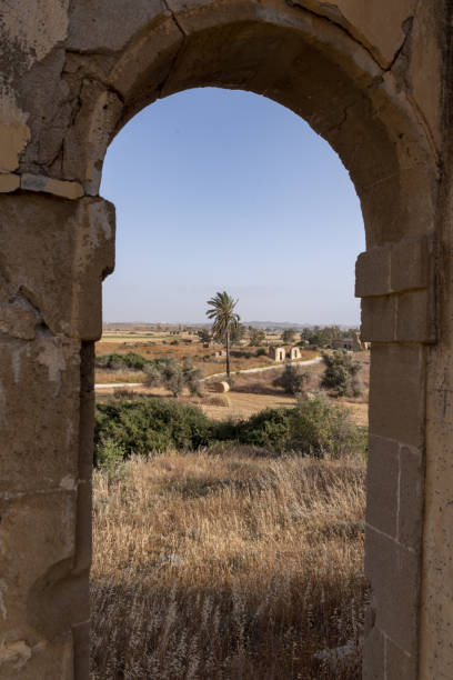 istock Ruins and palm tree viewed though window opening with arch in sandstone wall 1425465492