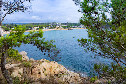 Beautiful sunny coast of Cala Aigua Xelida, Tamariu. Rocky shore, cliffs, blue water, green pine trees. Costa Brava, Begur, Girona, Catalonia, Spain