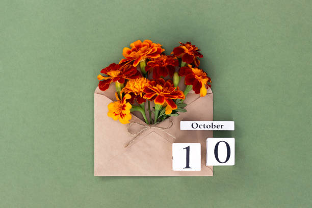 October 10. Bouquet of orange flower in craft envelope and calendar date on green background. Minimal concept Hello fall. Template for your design, greeting card stock photo