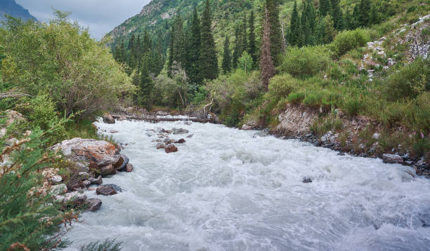 istock alley with river and forest 1425471729
