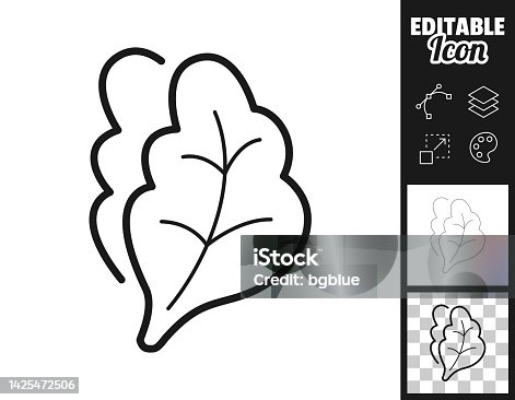 istock Lettuce. Icon for design. Easily editable 1425472506