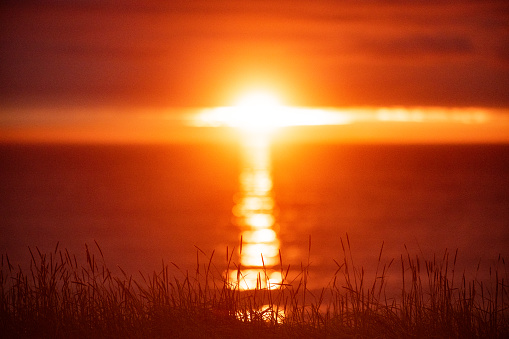 Summer Midnight Sunset over ocean with grass foreground North Iceland