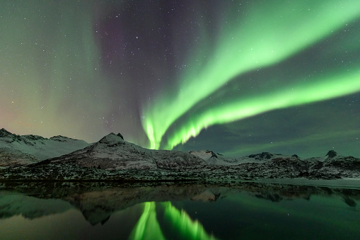 Northern Lights, Aurora Borealis over the Lofoten Islands in Northern Norway during winter