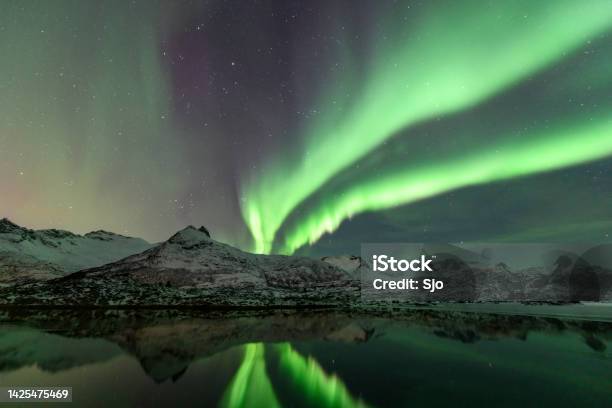 Northern Lights Aurora Borealis Over The Lofoten Islands In Northern Norway During Winter Stock Photo - Download Image Now
