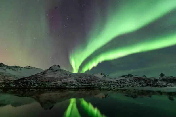 Photo of Northern Lights, Aurora Borealis over the Lofoten Islands in Northern Norway during winter