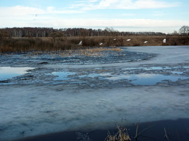 istock The bank of a small river in early spring 1425478428