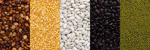 istock Different types of legumes 1425478447