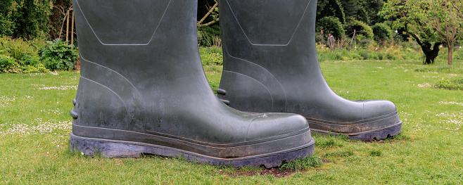 Magnified gray rain boots standing in a garden