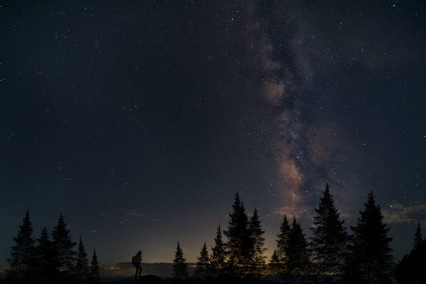 istock Coniferous forests and explorers under the Milky Way 1425481689