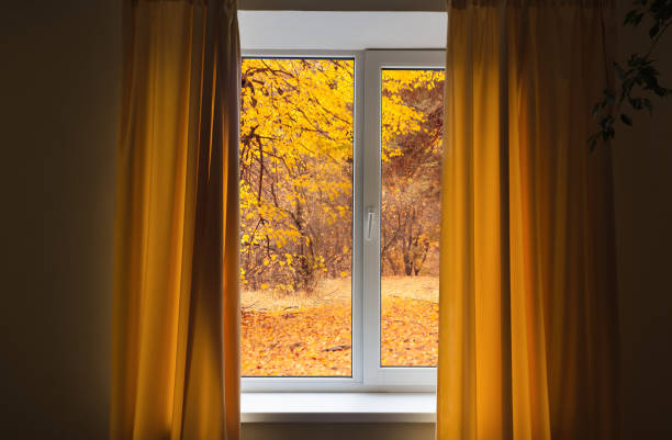 istock Window in room view on autumn park with fall leaves on the tree 1425484181
