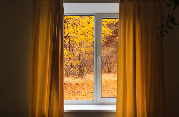 Window in room view on autumn park with fall leaves on the tree stock photo