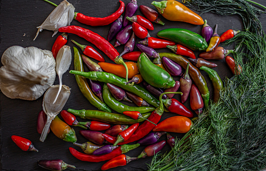 Time for a fiery pickle.Colorful chili peppers and spices. Assortment of fresh and dryed peppers: cayenne, Charleston Hot, Carribean red habanero,garlic and dill