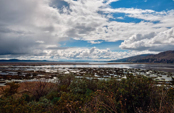 istock Lake Titicaca in Peru. Landscape. 1425499895