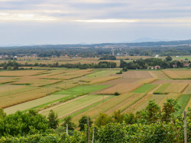 istock Agriculture in Slovenia 1425505059