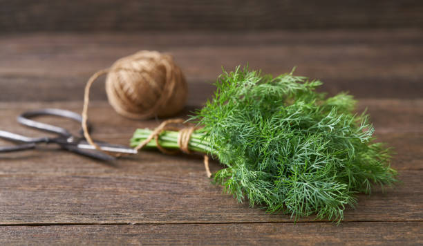 istock fresh dill on a wooden table, scissors and rope. Selective focus, rustic style. 1425505208