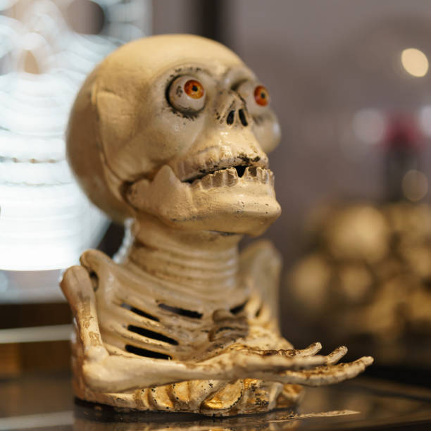 istock Mock-up of a skull indoor. 1425505688
