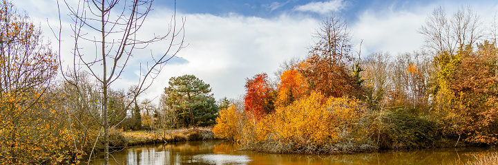 Autumnal landscape with a pond and multicolored trees in France