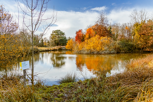 Autumnal landscape on a sunny day with a pond and multicolored trees in the Reserve of the Barails in Bordeaux, France
