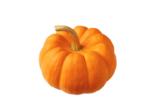 istock Vivid Orange Ripe Pumpkin Isolated on White Background 1425510938