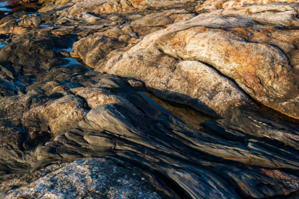istock Rocks at Pemaquid Point at Sunrise 1425511239