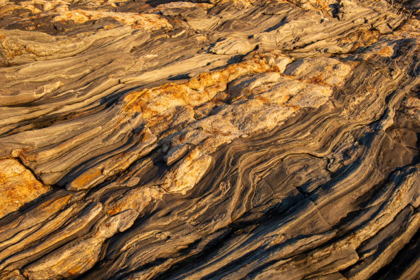 istock Rocks at Pemaquid Point at Sunrise 1425511242