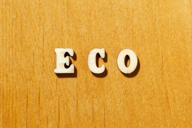 istock Word 'Eco' by wooden letters 1425512891