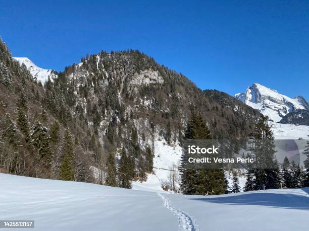 Forestrocky Alpine Hill Mittelberg On The Slopes Of The Alpstein Massif And Above The Obertoggenburg Valley Alt St Johann Switzerland Stock Photo - Download Image Now