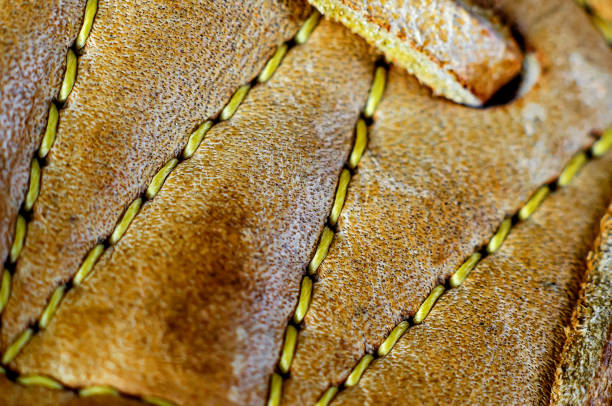 rear Close up of a single shoe