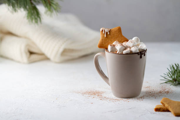 istock Hot chocolate in a mug with marshmallows and star-shaped gingerbread 1425514679