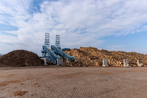 Site and equipment for stacking timber at the port