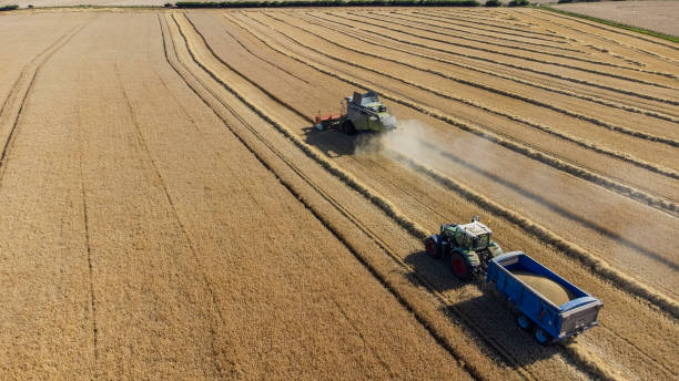 istock Agricultural Machinery Harvesting 1425515579