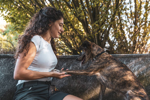 istock beautiful female instructor hugs her dog during a training break 1425515833